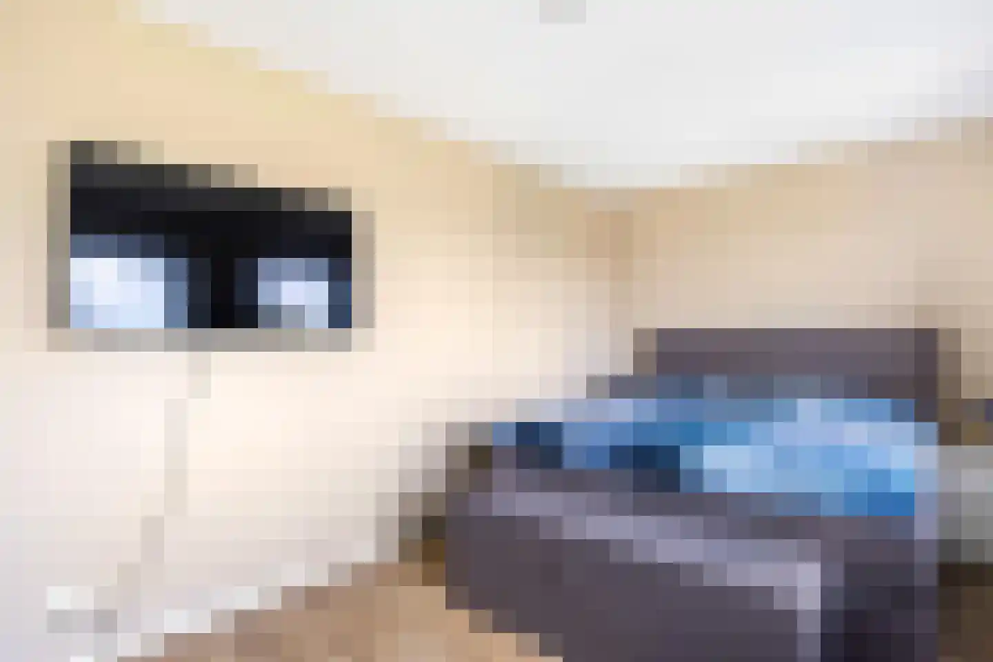 Corbulokade 40 Voorburg thumbnail 29