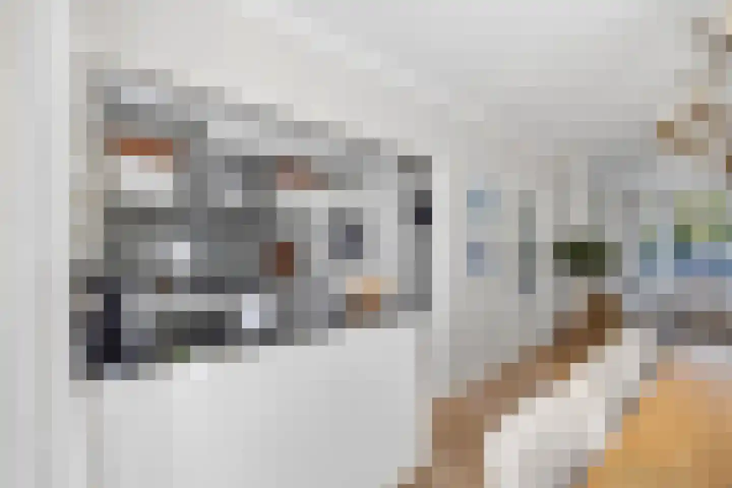 Corbulokade 6 Voorburg thumbnail 11
