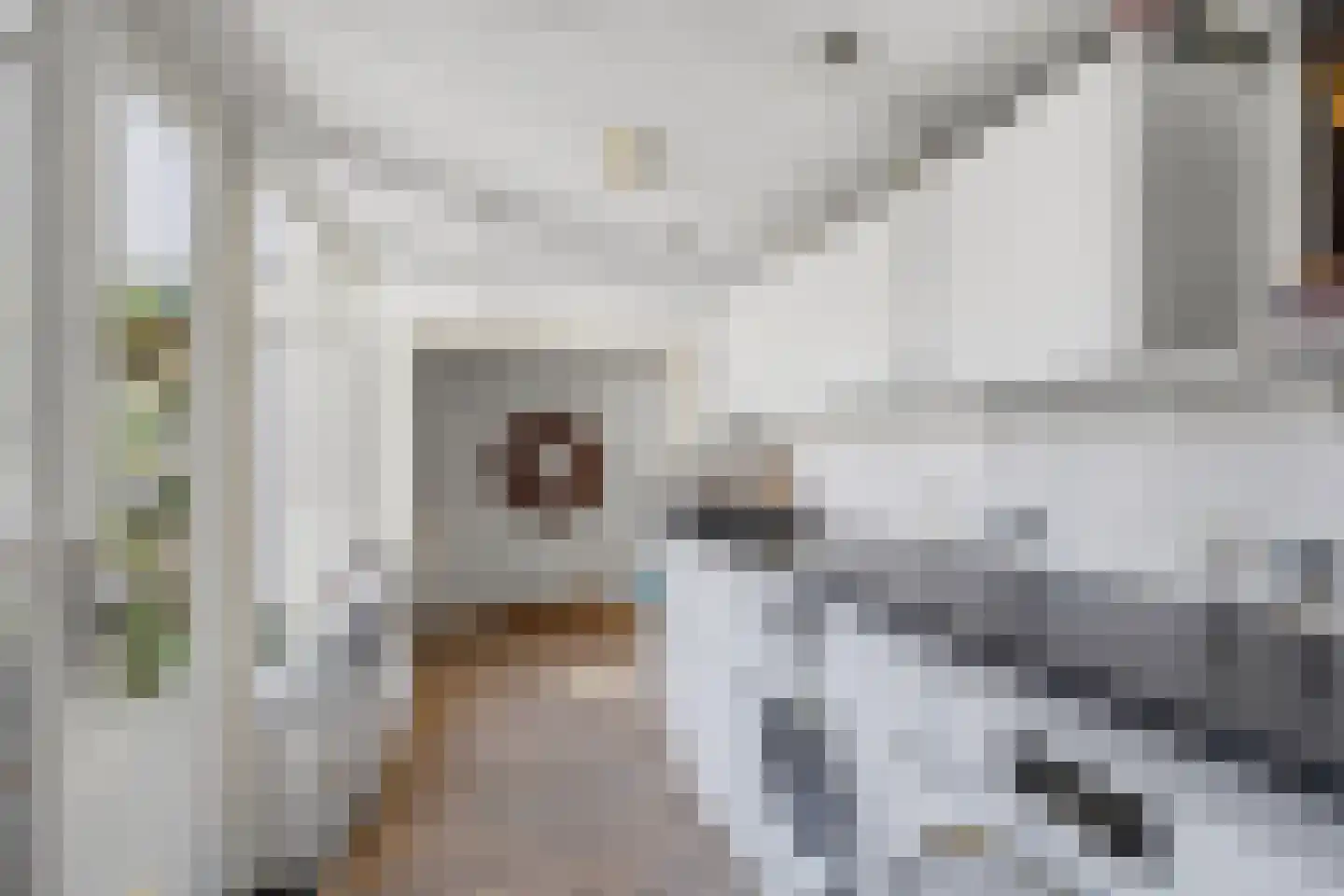 Corbulokade 6 Voorburg thumbnail 13
