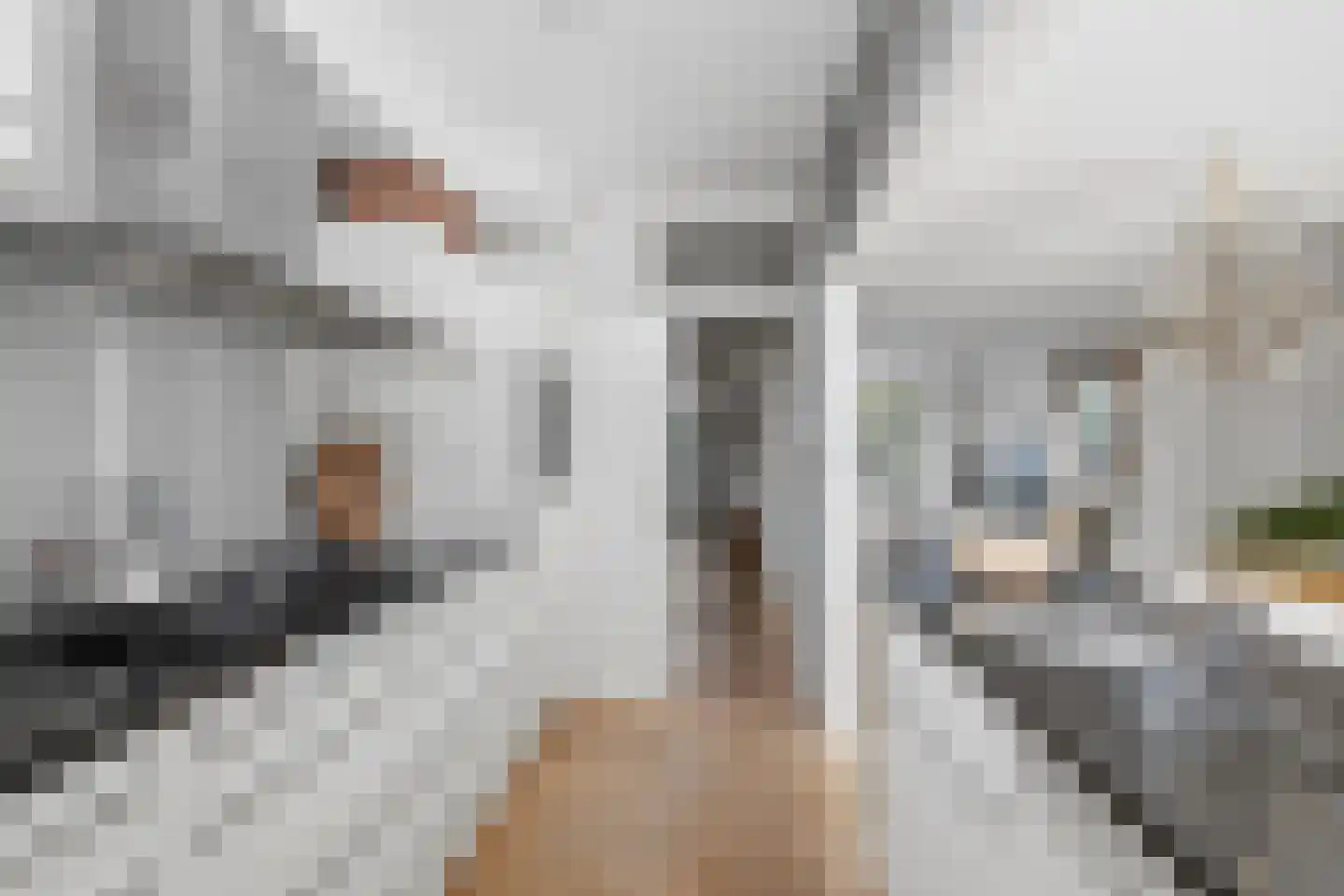 Corbulokade 6 Voorburg thumbnail 19