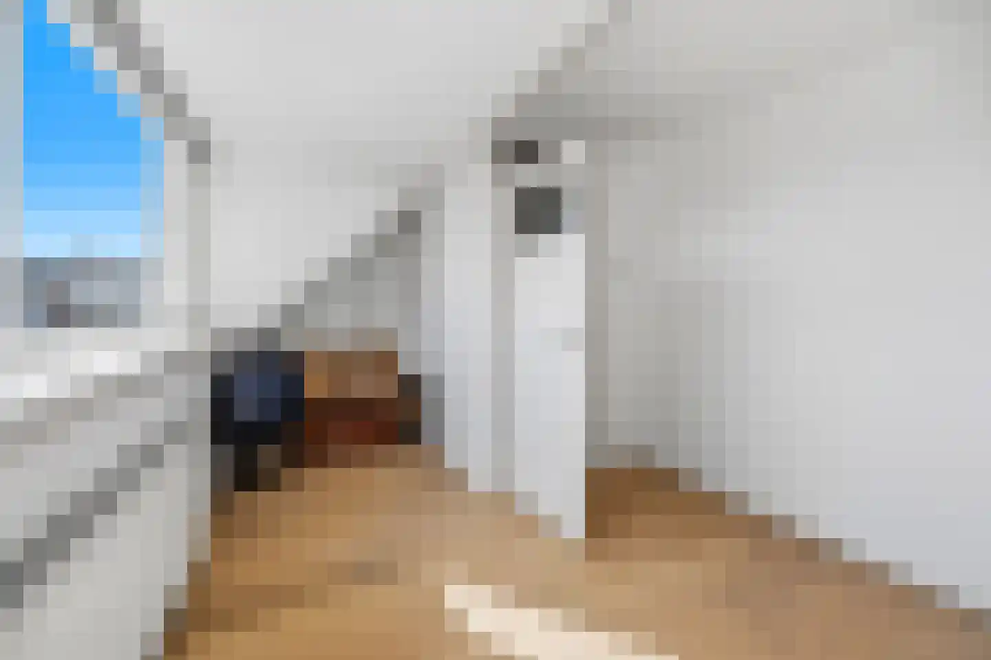 Corbulokade 6 Voorburg thumbnail 33