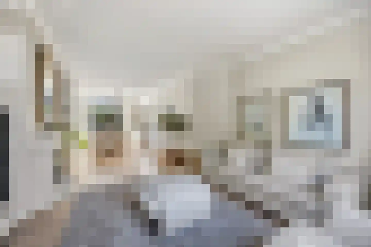 Corbulokade 6 Voorburg thumbnail 8