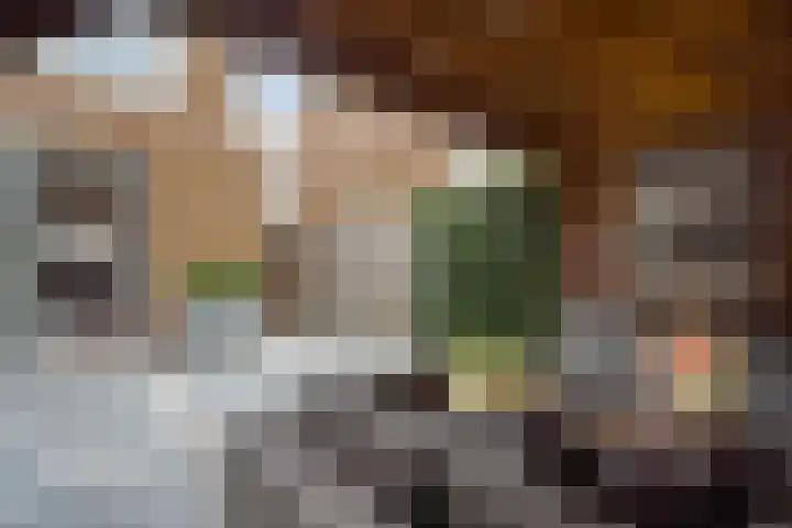 Corbulolaan 54 Naaldwijk thumbnail 20