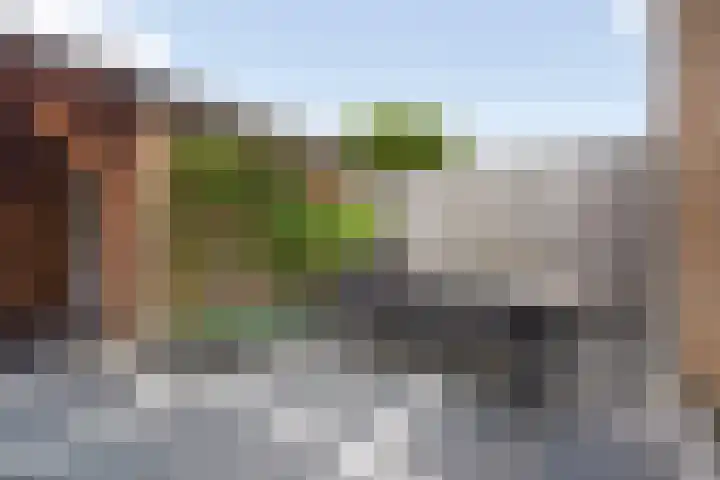 Corbulolaan 54 Naaldwijk thumbnail 21