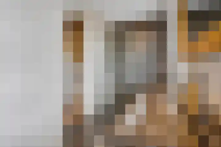Corbulolaan 54 Naaldwijk thumbnail 31