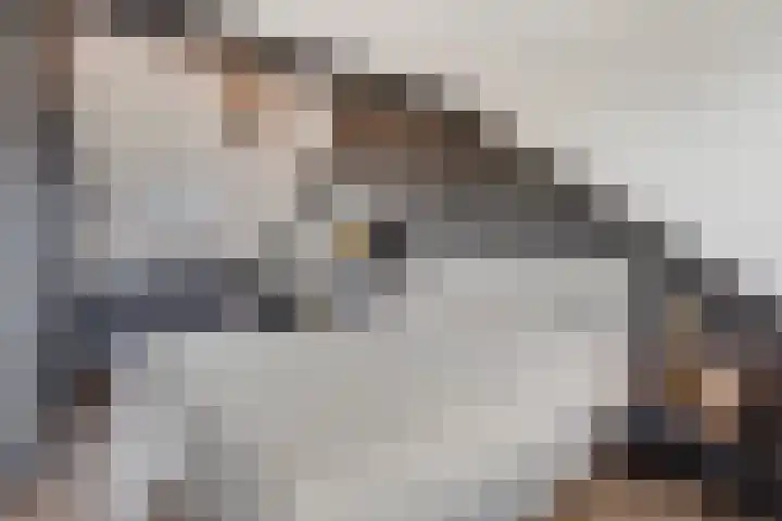 Corbulolaan 54 Naaldwijk thumbnail 42