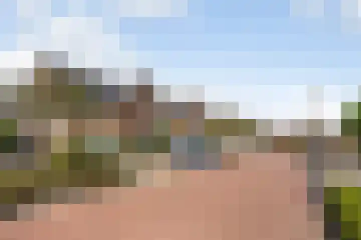 Corbulolaan 54 Naaldwijk thumbnail 53