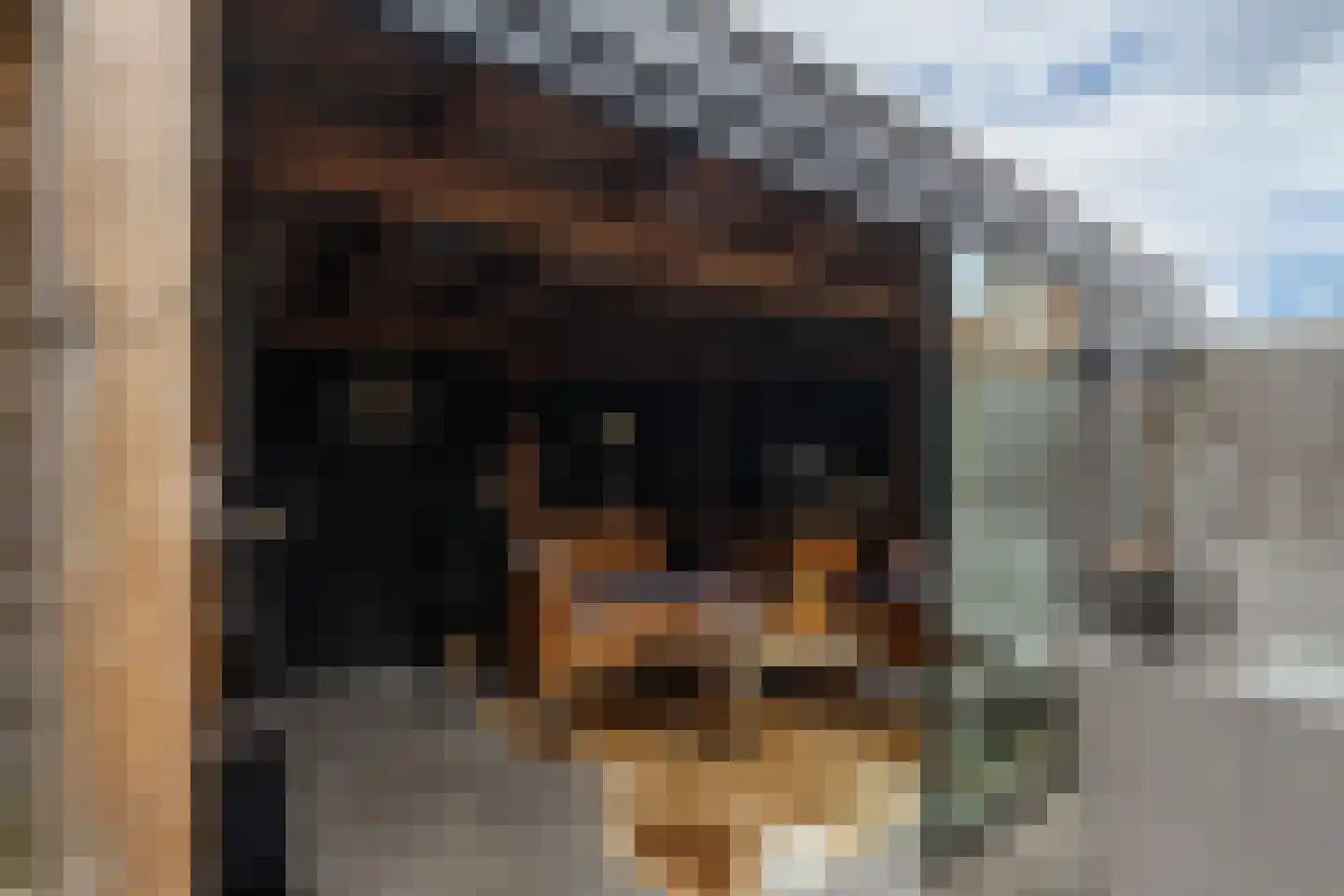 Corbulolaan 56 Naaldwijk thumbnail 13