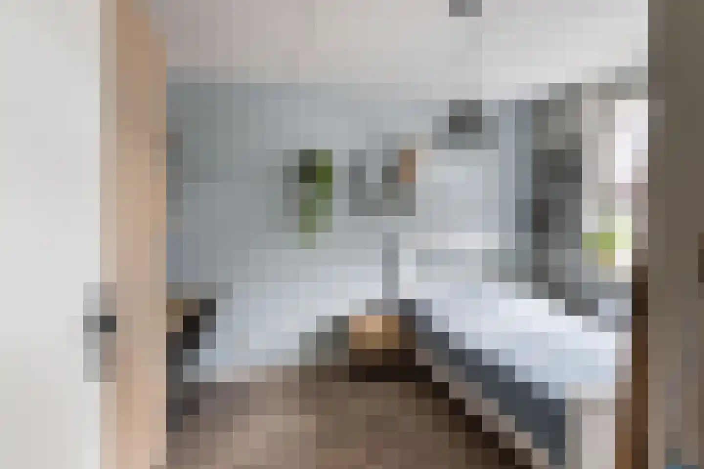 Corbulolaan 56 Naaldwijk thumbnail 17