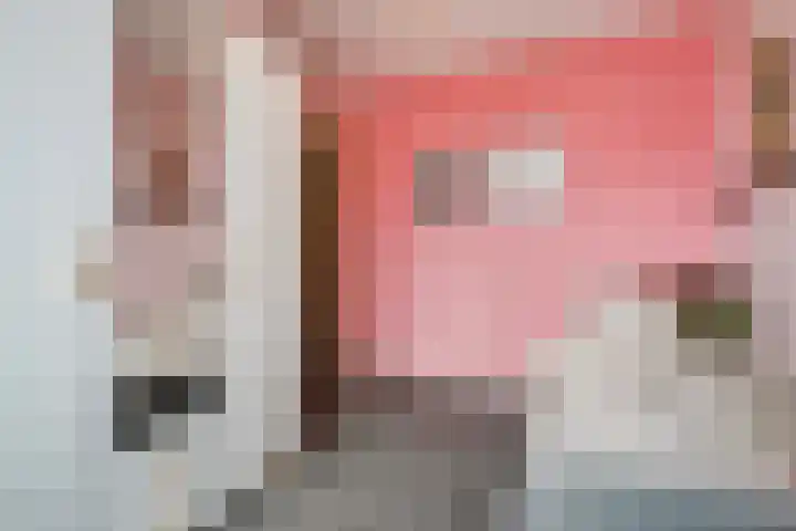 Corbulolaan 60 Naaldwijk thumbnail 23