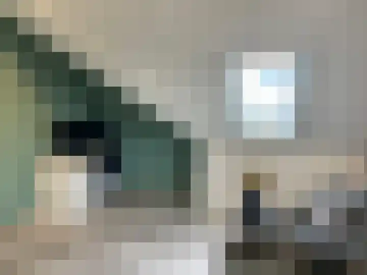 Corbulolaan 60 Naaldwijk thumbnail 29