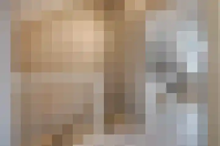 Corbulolaan 60 Naaldwijk thumbnail 32