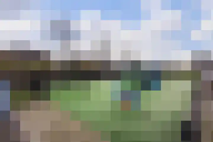 Corbulolaan 60 Naaldwijk thumbnail 38