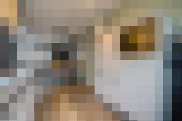 Corbulolaan 60 Naaldwijk thumbnail 7