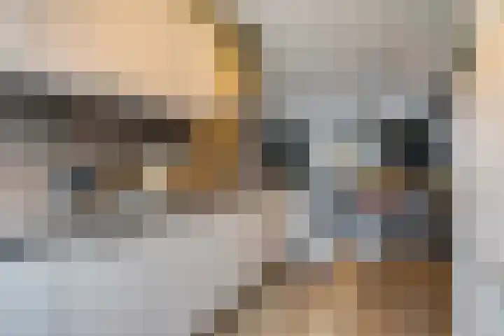Corbulolaan 60 Naaldwijk thumbnail 8