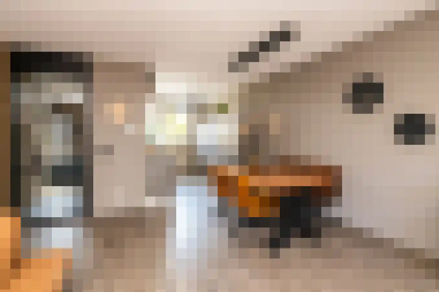 Corbulolaan 62 Naaldwijk thumbnail 14