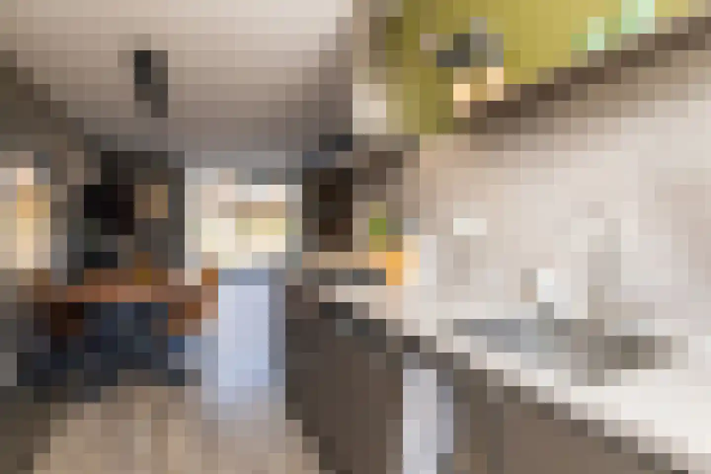 Corbulolaan 62 Naaldwijk thumbnail 19