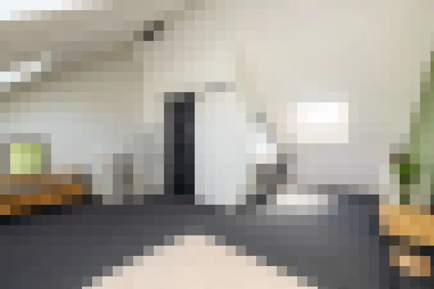 Corbulolaan 62 Naaldwijk thumbnail 35