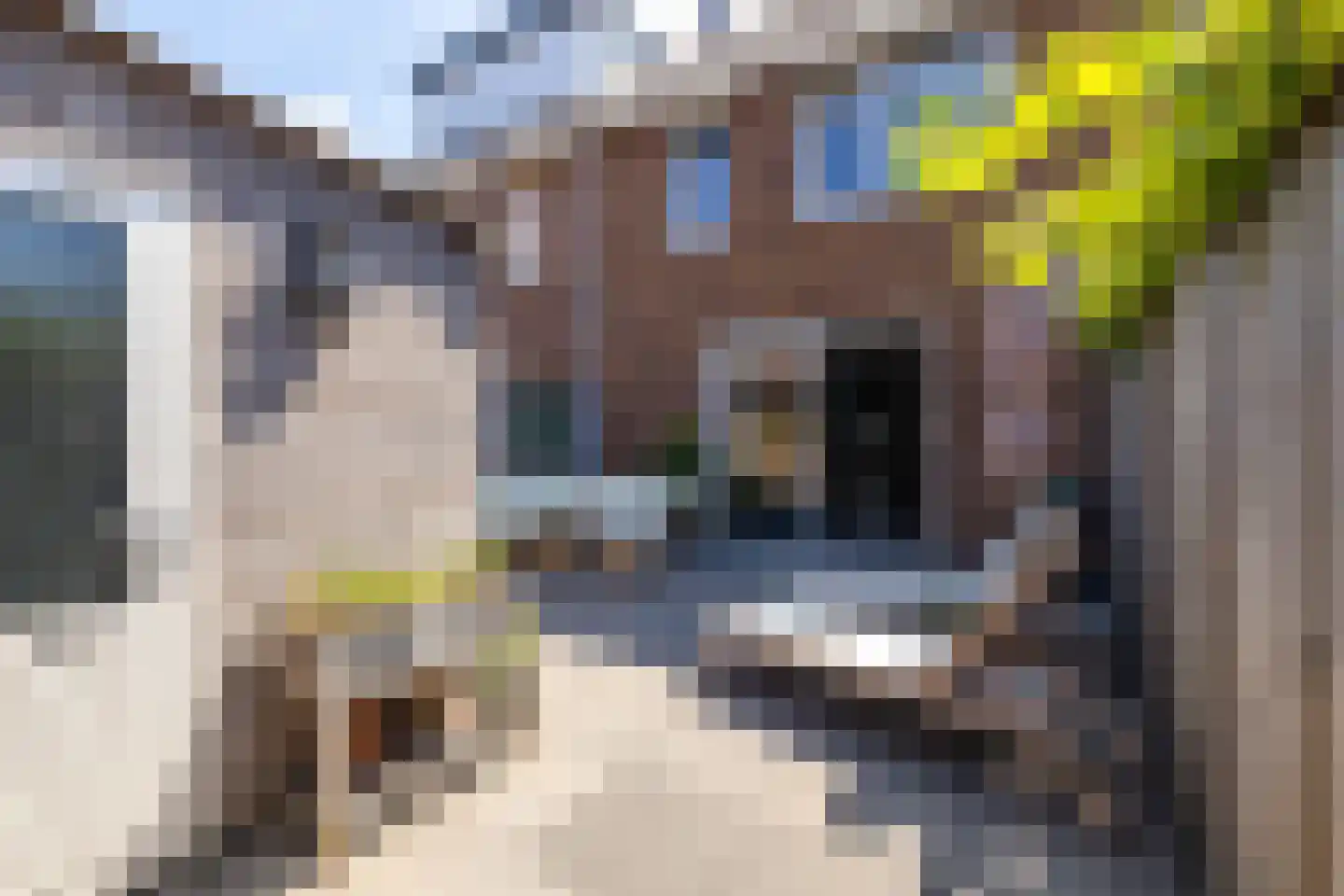 Corbulolaan 62 Naaldwijk thumbnail 4