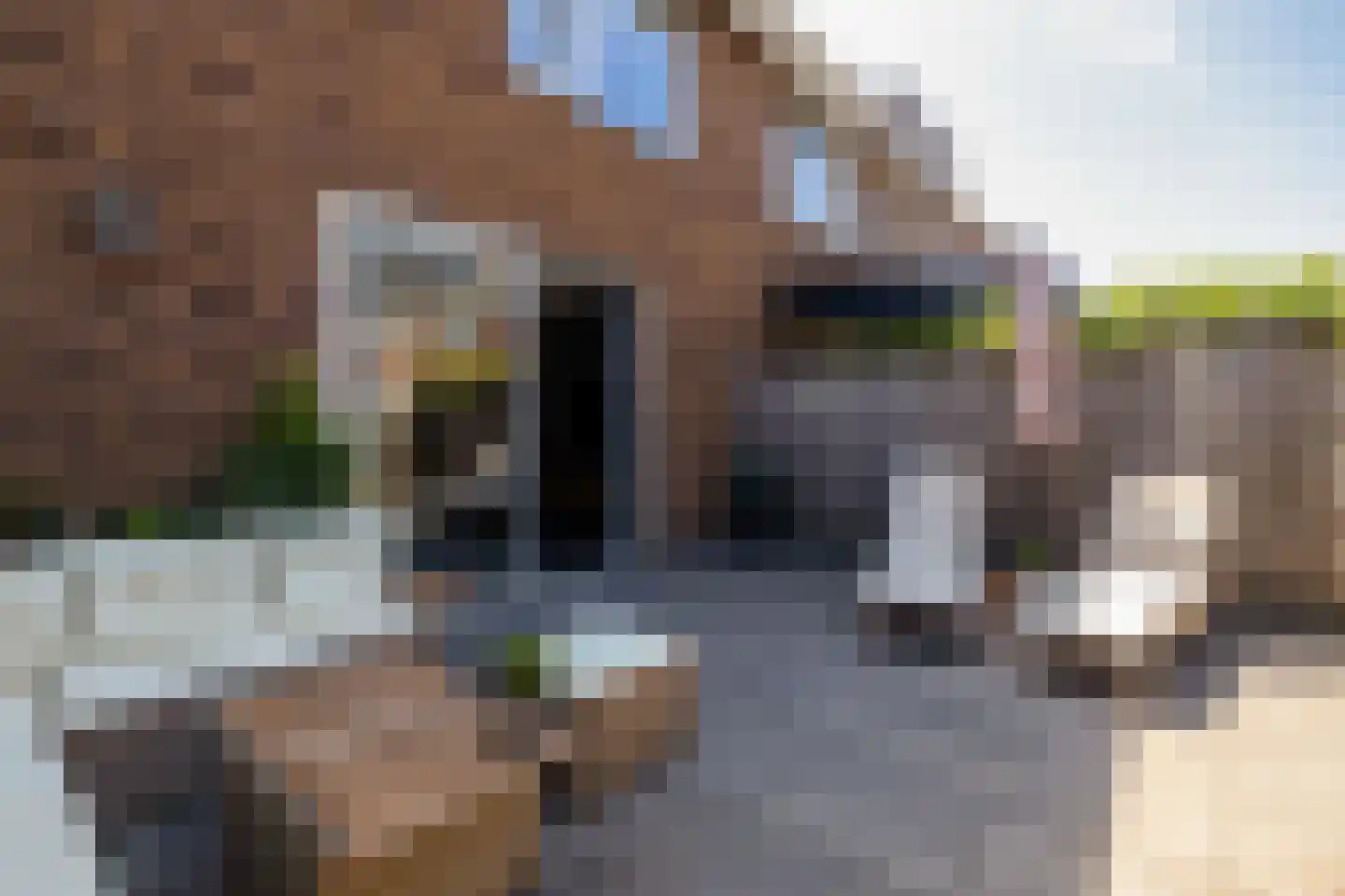 Corbulolaan 62 Naaldwijk thumbnail 42