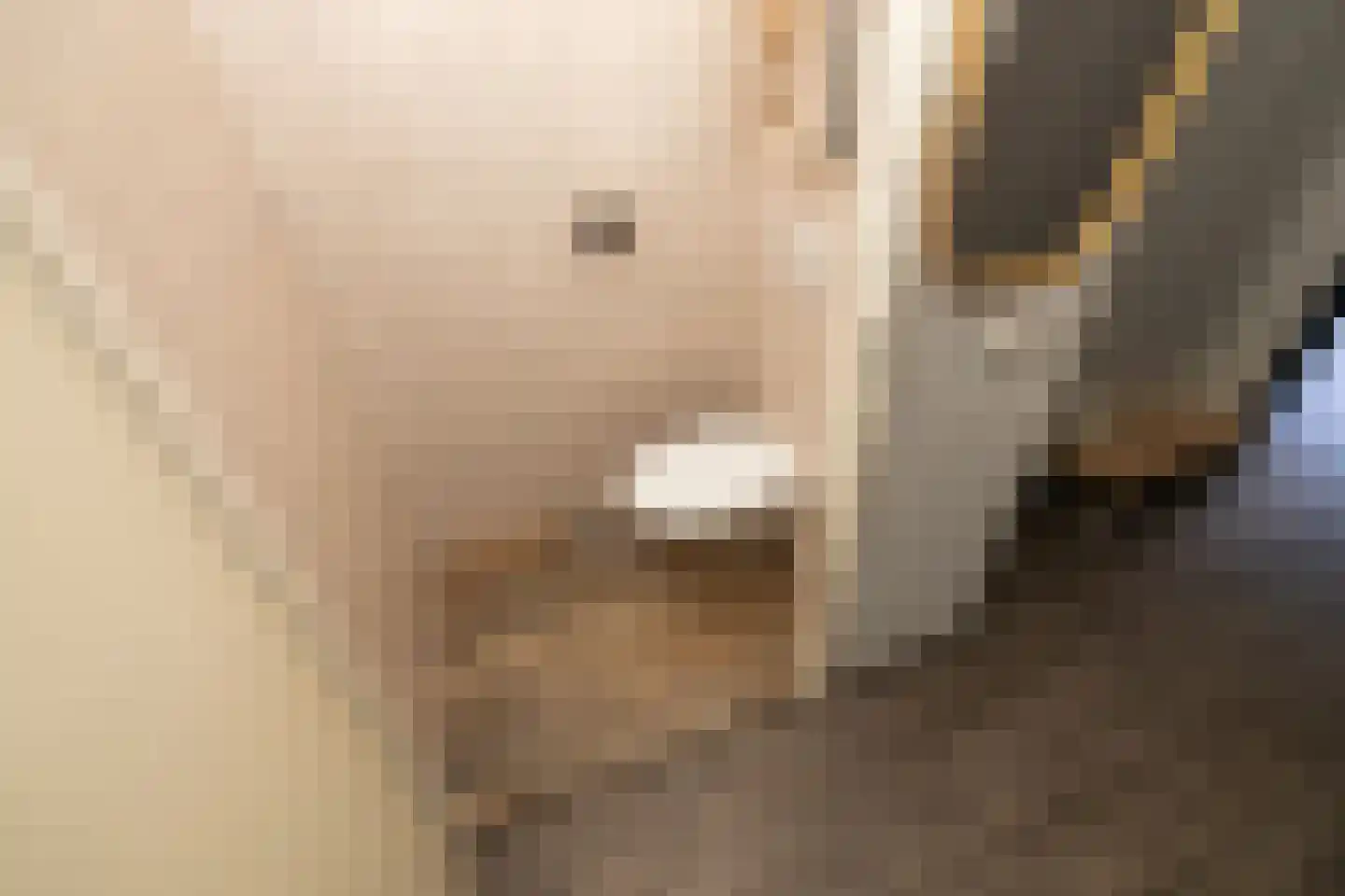 Corbulolaan 62 Naaldwijk thumbnail 7