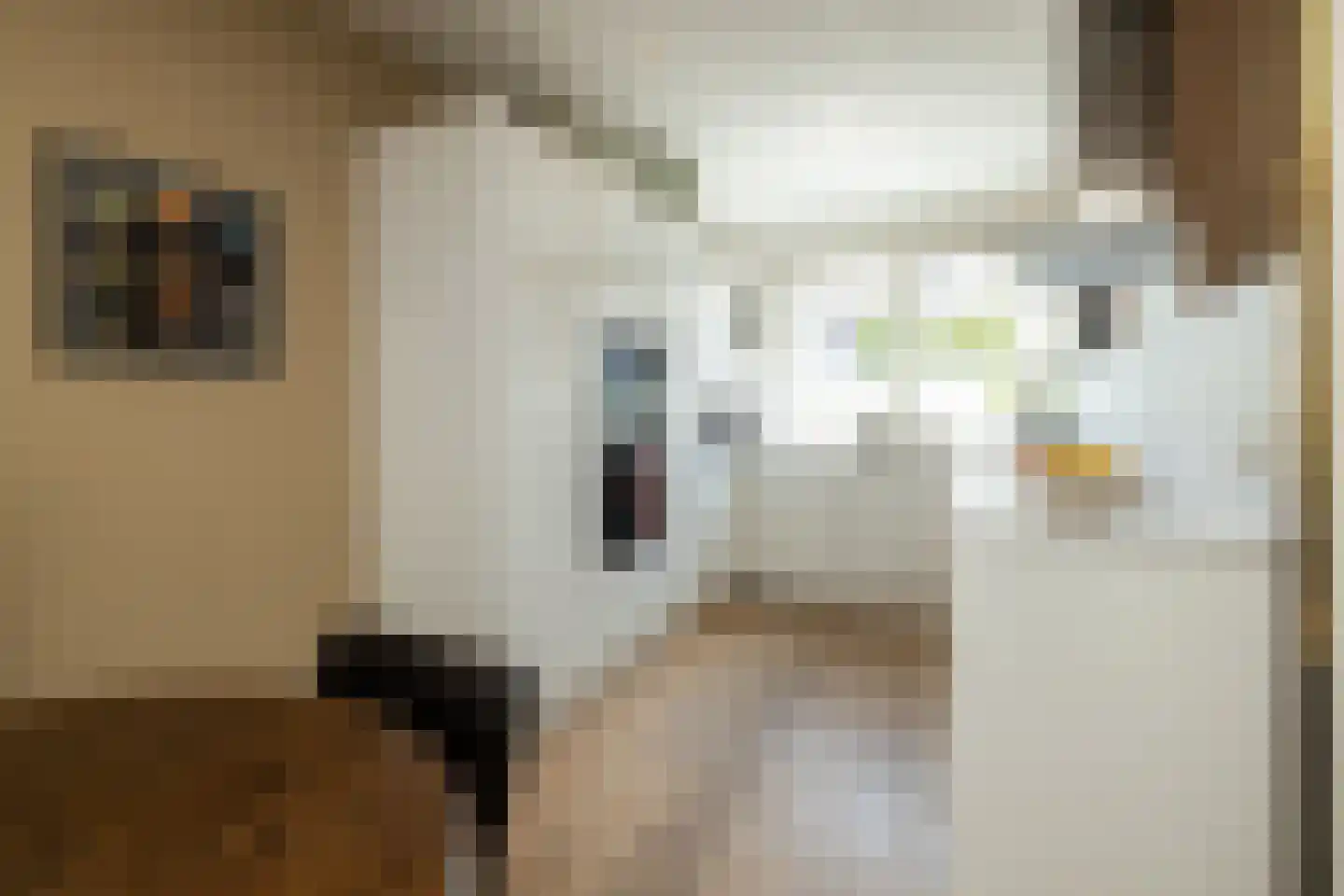 Corbulolaan 64 Naaldwijk thumbnail 17
