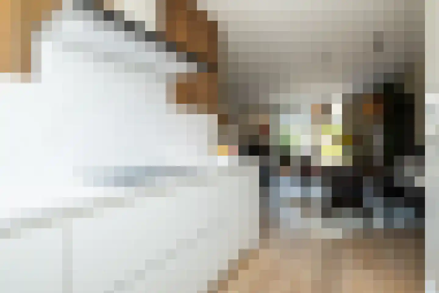 Corbulolaan 64 Naaldwijk thumbnail 20