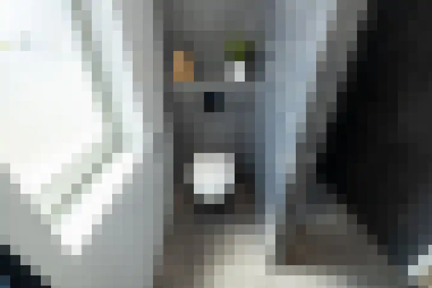 Corbulolaan 64 Naaldwijk thumbnail 29
