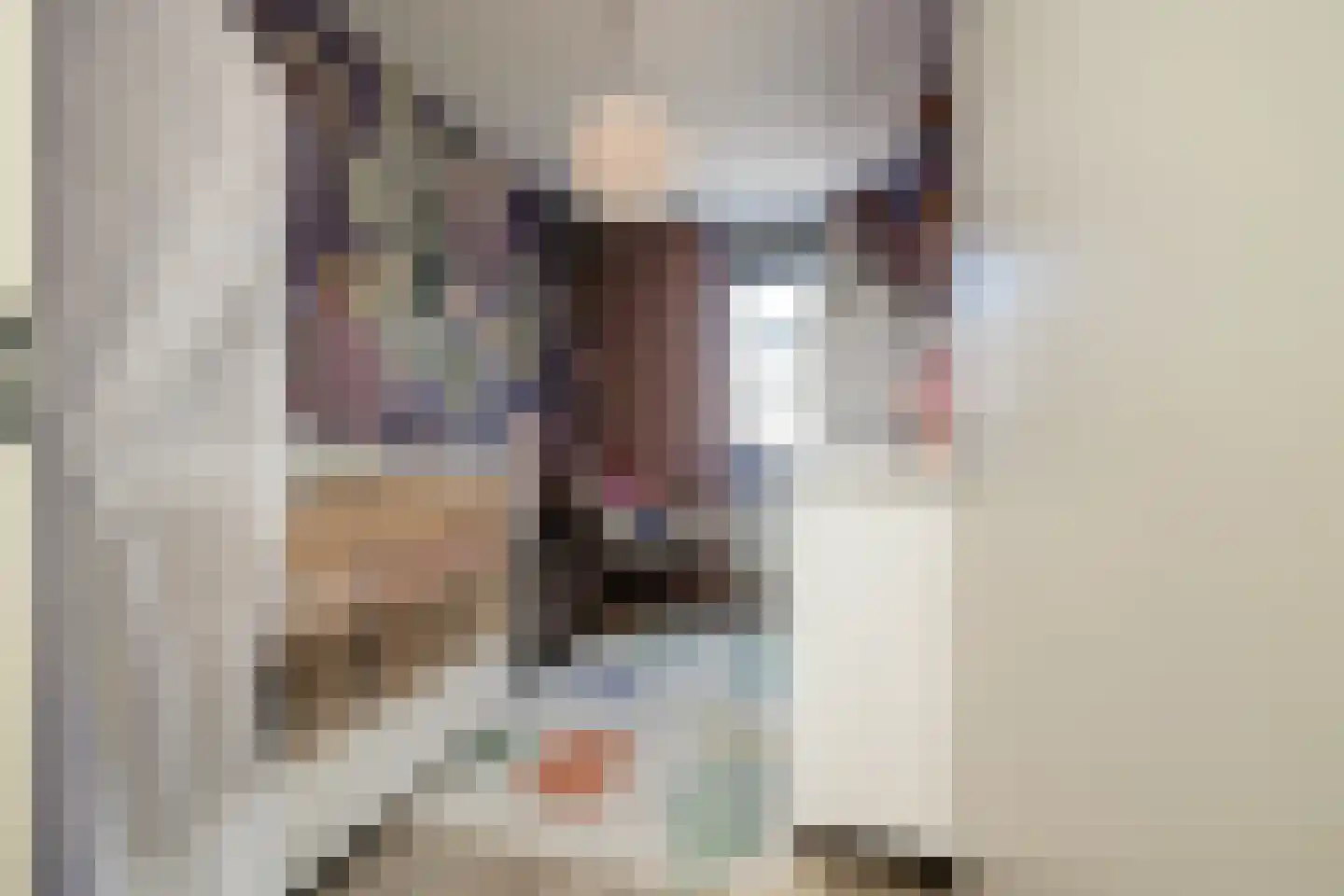 Corbulolaan 64 Naaldwijk thumbnail 31