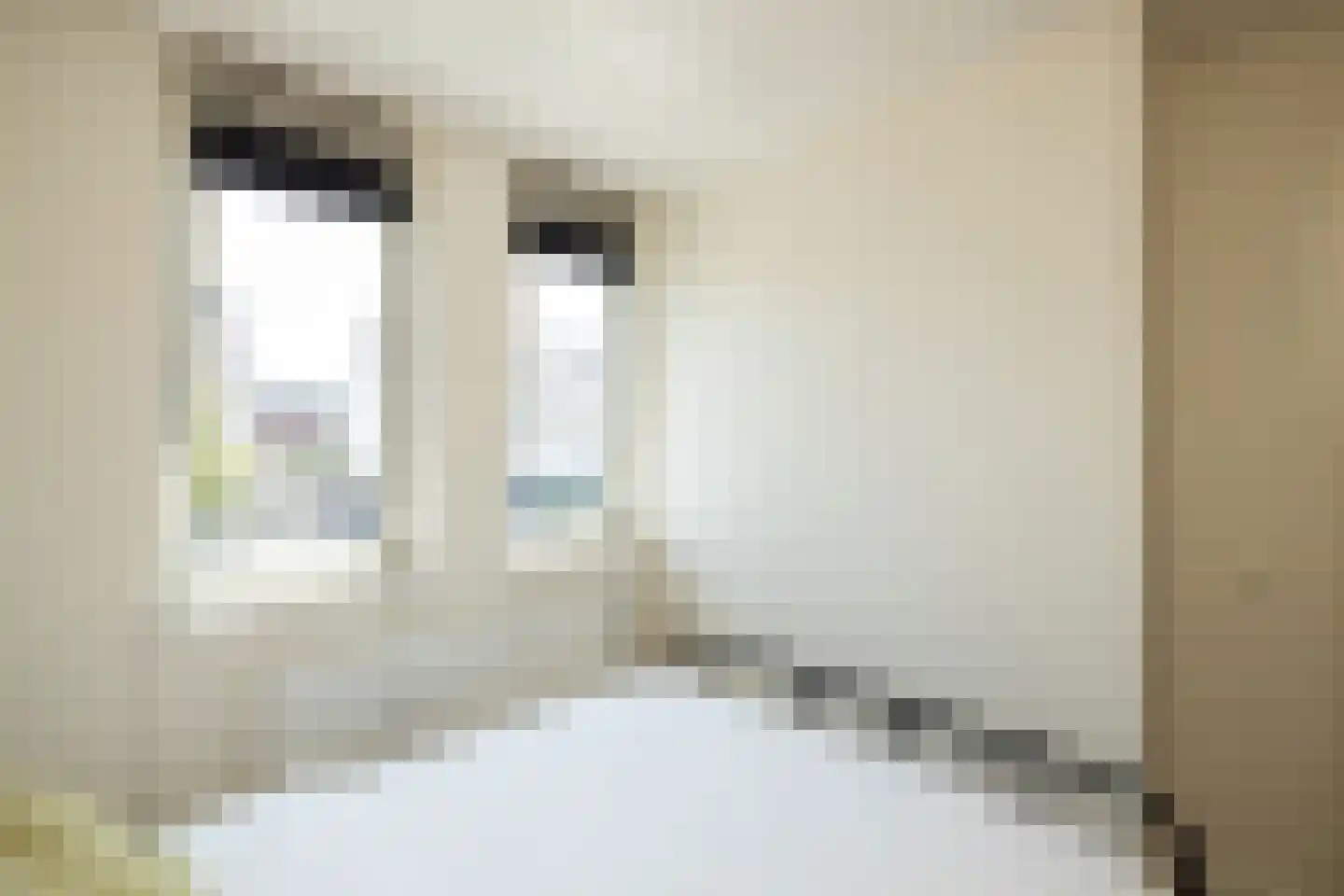 Corbulolaan 64 Naaldwijk thumbnail 35