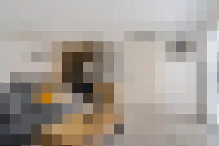Corbuloschans 21 Zoetermeer thumbnail 20