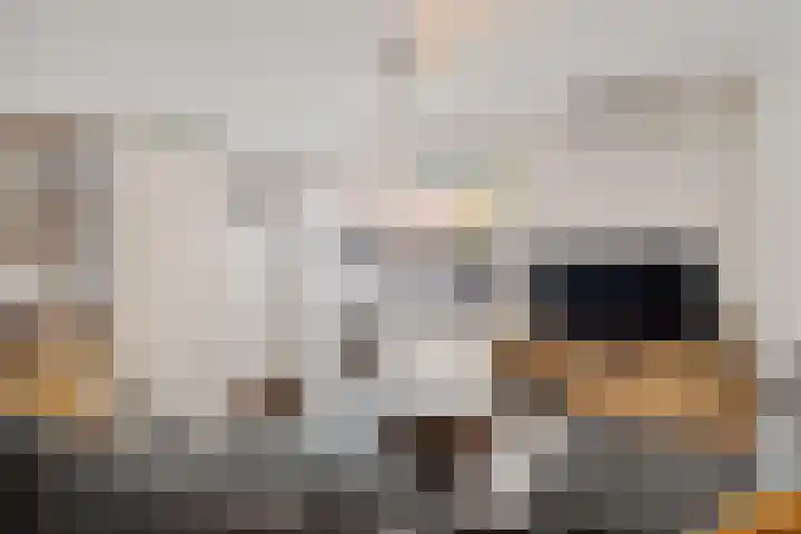 Corbuloschans 21 Zoetermeer thumbnail 22