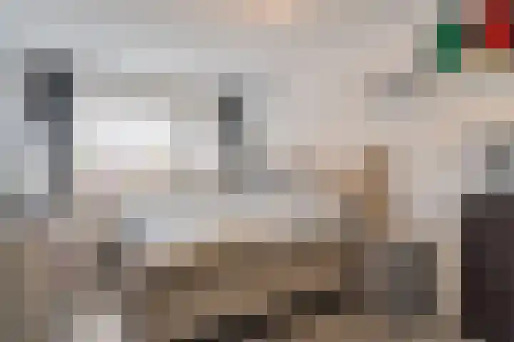 Corbuloschans 21 Zoetermeer thumbnail 30