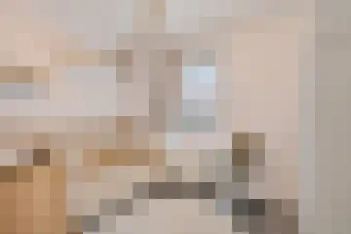 Corbuloschans 21 Zoetermeer thumbnail 35