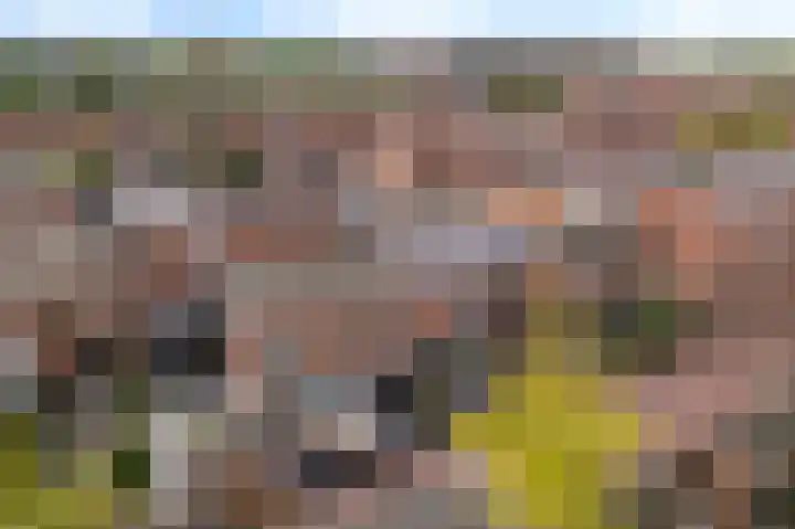 Corbuloschans 21 Zoetermeer thumbnail 40