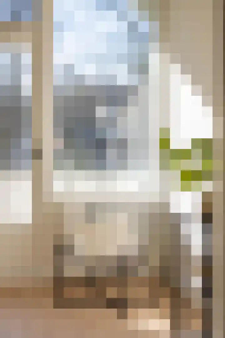 Cordell Hullplaats 157 Rotterdam thumbnail 20