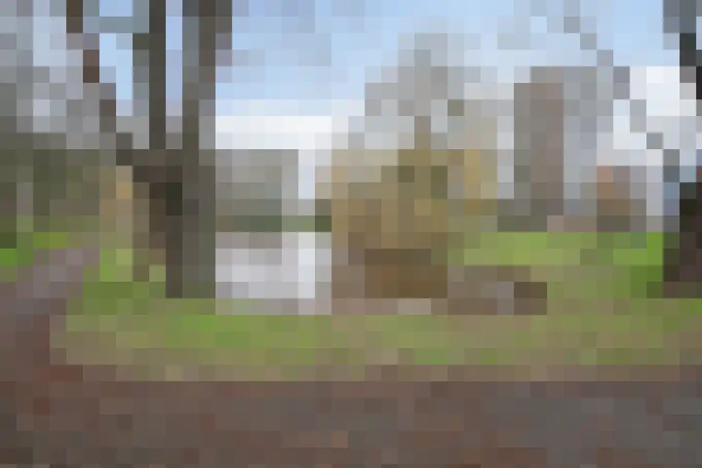 Cordell Hullplaats 333 Rotterdam thumbnail 37