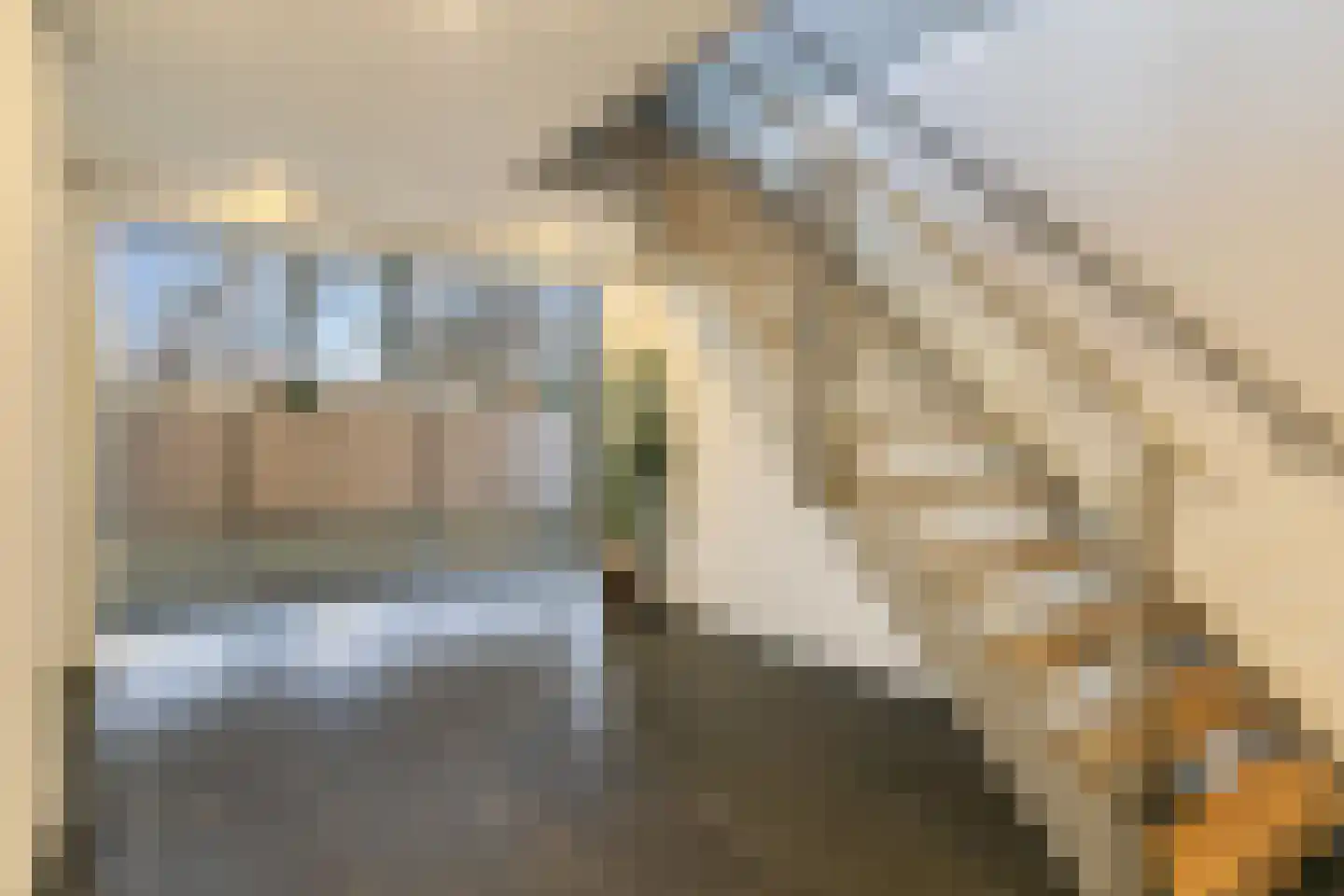 Cordell Hullplaats 333 Rotterdam thumbnail 7