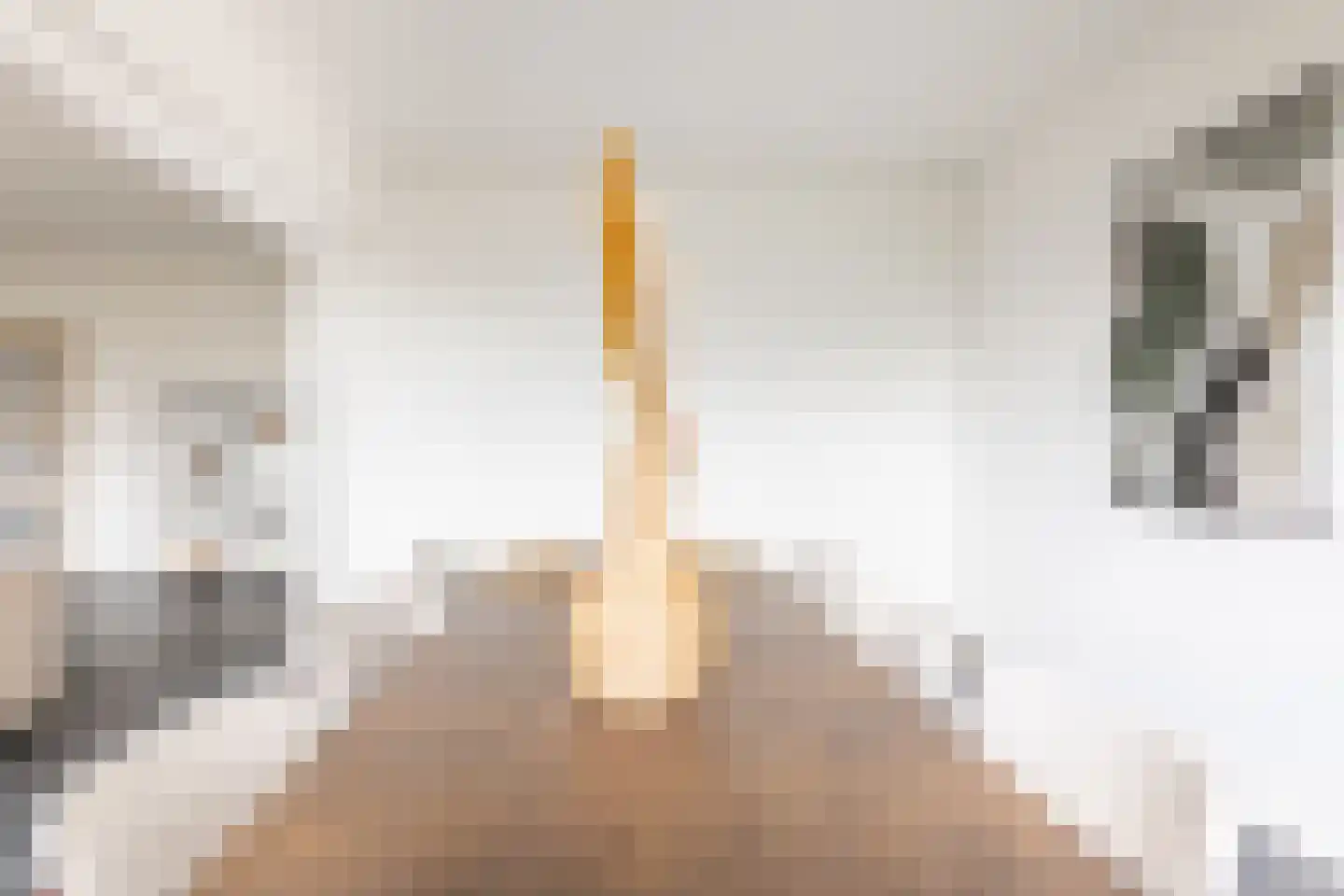 Cordell Hullplaats 337 Rotterdam thumbnail 32