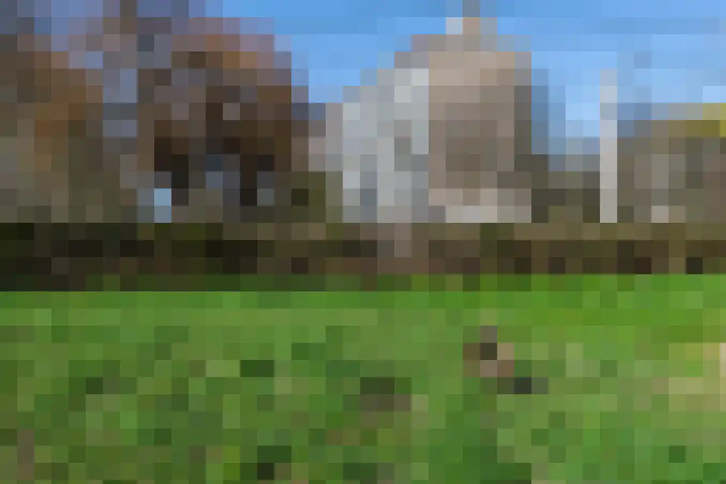 Cordell Hullplaats 337 Rotterdam thumbnail 46