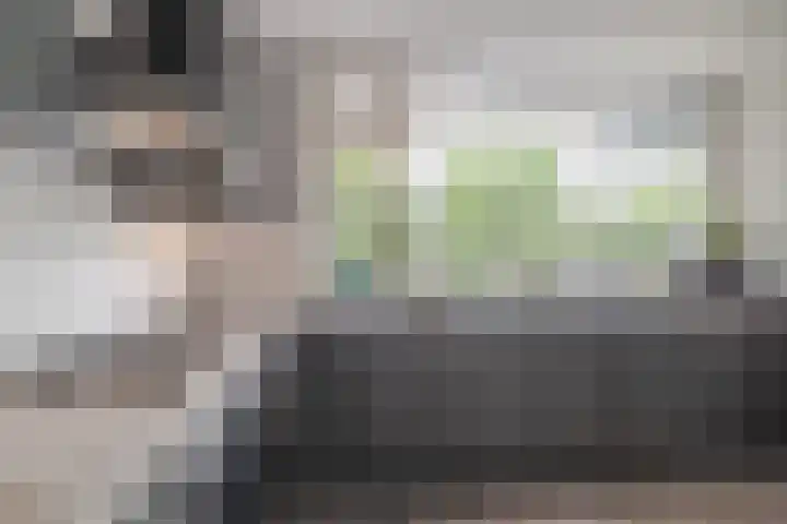 Cordell Hullplaats 91 Rotterdam thumbnail 10
