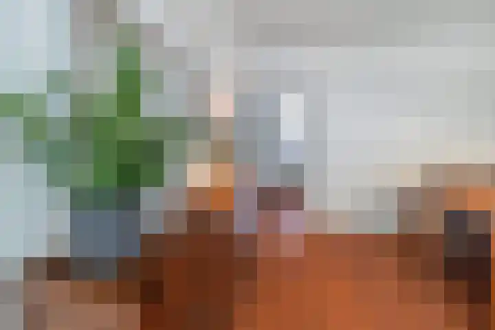 Cordell Hullplaats 91 Rotterdam thumbnail 7