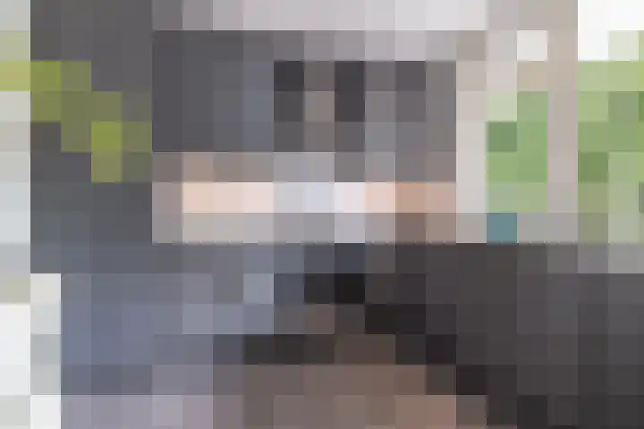 Cordell Hullplaats 91 Rotterdam thumbnail 9