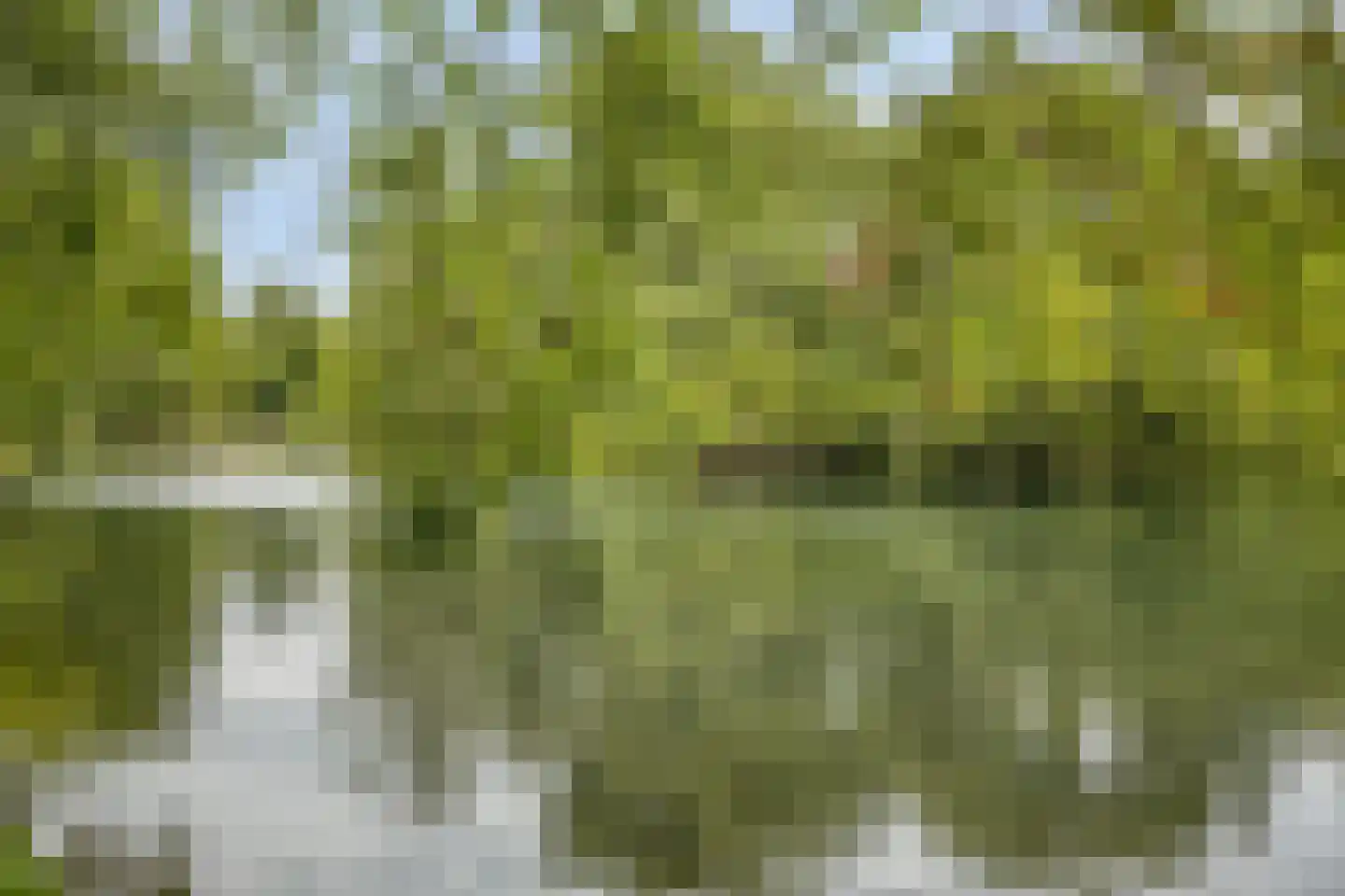 Cordesstraat 6 1 Arnhem thumbnail 37