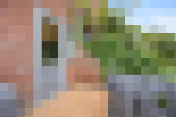 Corduwenerstraat 27 Nijmegen thumbnail 31