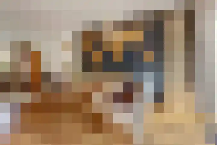 Corduwenerstraat 9 Nijmegen thumbnail 4