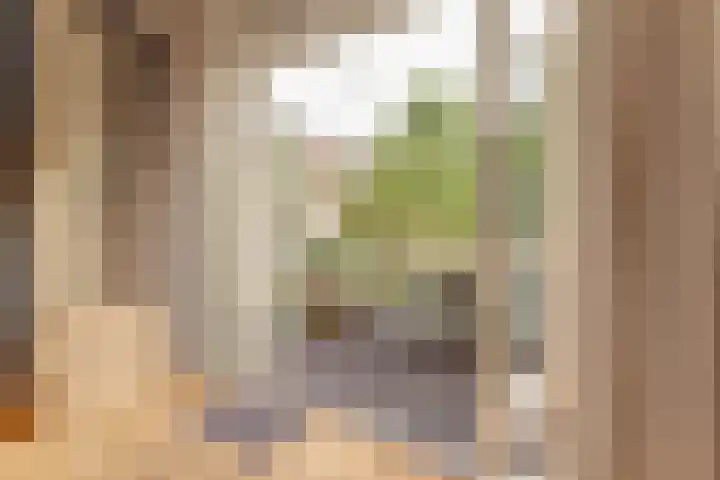Corduwenerstraat 9 Nijmegen thumbnail 6