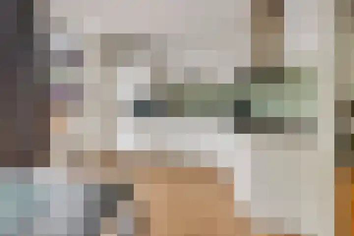 Coreanna 2 a Geldermalsen thumbnail 10