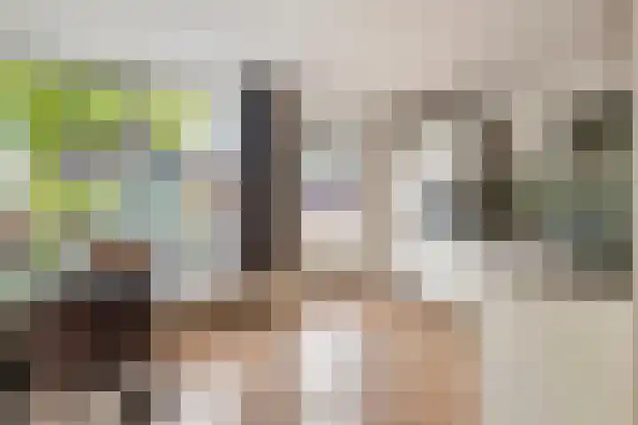 Coreanna 2 a Geldermalsen thumbnail 11