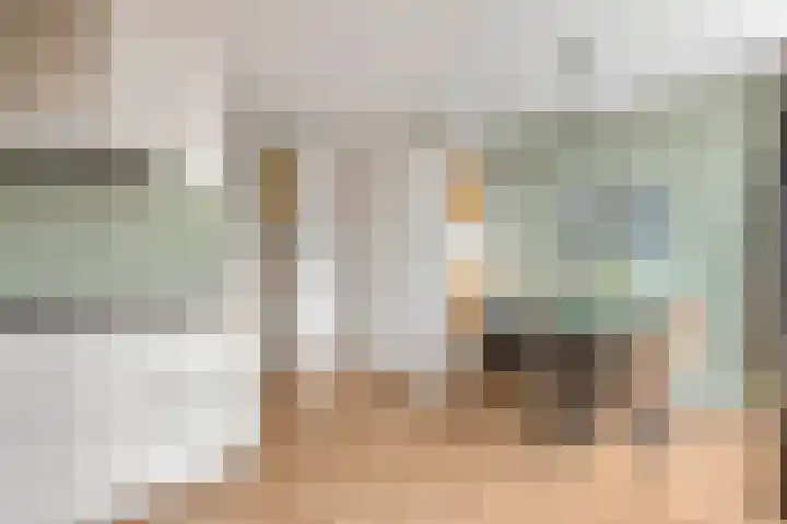 Coreanna 2 a Geldermalsen thumbnail 12